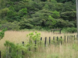 Entrance to Finca de Suiza