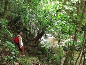 Hiking along a river 