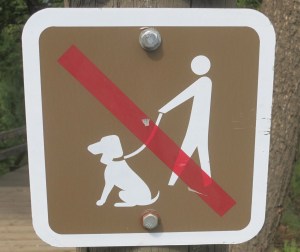 No dogs allowed :(