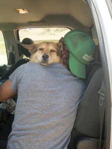 Seeing her mom shoot a gun wasn't going over well