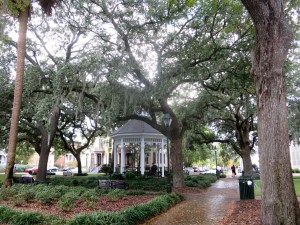 One of the beautiful squares of Savannah