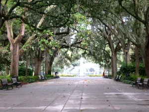 Forsyth Park 