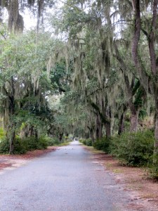 Bonaventure Cementary 